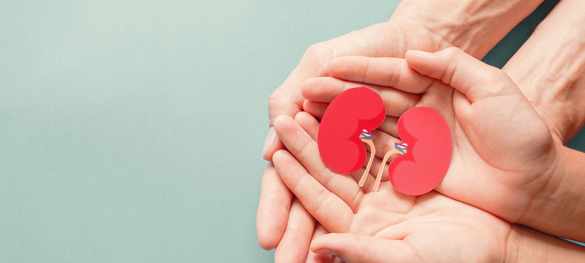 Spotlight: A Passion for Nephrology & Patient-Centred Care